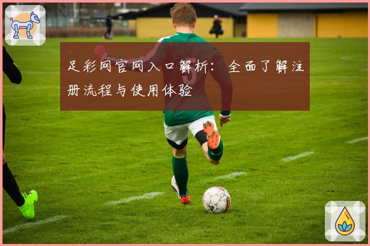 足彩网官网入口解析：全面了解注册流程与使用体验