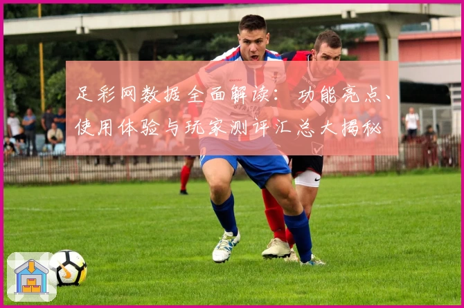 足彩网数据全面解读：功能亮点、使用体验与玩家测评汇总大揭秘