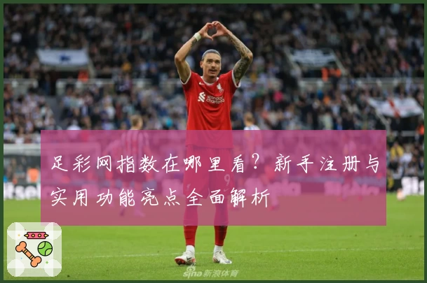 足彩网指数在哪里看？新手注册与实用功能亮点全面解析