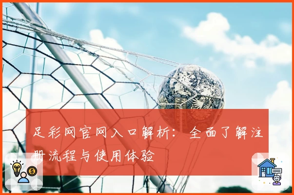 足彩网官网入口解析：全面了解注册流程与使用体验