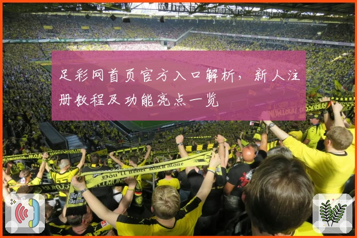 足彩网首页官方入口解析，新人注册教程及功能亮点一览